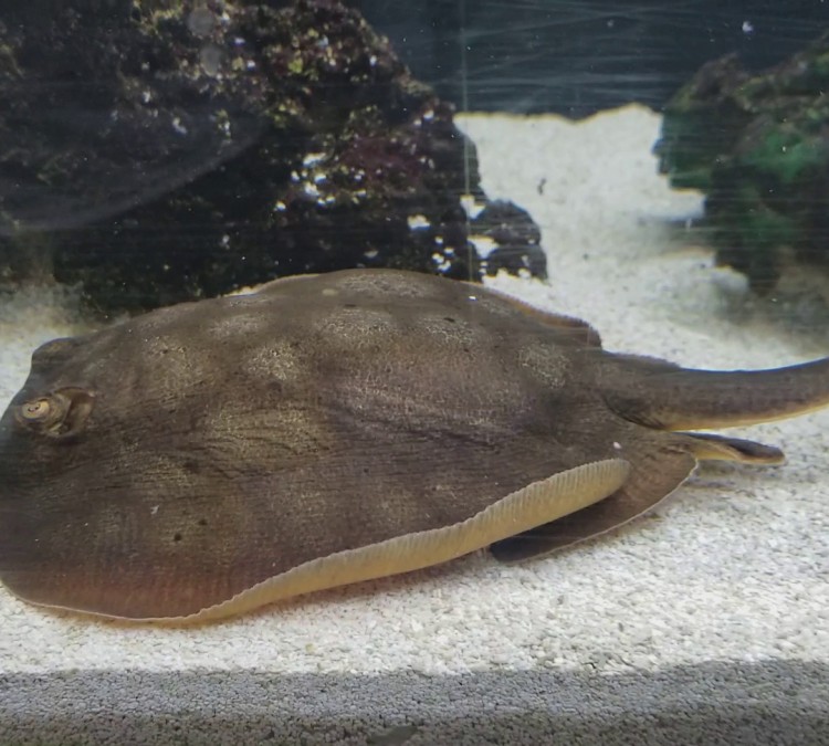 keizers-tropical-fish-aquariums-photo